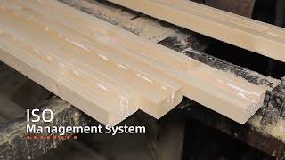 ZEEMO H20 Timber Beam For Slab Wall Column Formwork [upl. by Afra]