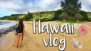 VACATION TRAVEL DIARY  Waikiki Hawaii [upl. by Saixela]