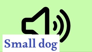 Small dog  sound effect [upl. by Hakon]