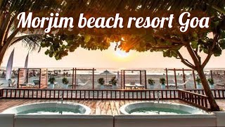 Sinq beach resort Morjim North Goa best beach [upl. by Sanfo473]