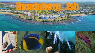 Bundaberg  diving Burkitts Reef and Barolin Rocks [upl. by Aissat748]