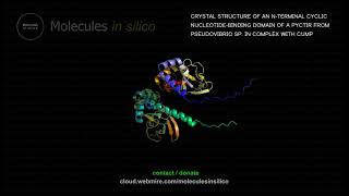 Molecules in silico ･ CRYSTAL STRUCTURE OF AN NTERMINAL CYCLIC NUCLEOTIDEBINDING DOMAIN OF A PYC [upl. by Evette]