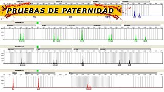 ¿CÓMO HACER UN PERFIL GENÉTICO  GENÉTICA FORENSE [upl. by Eirahs694]