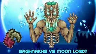 Expert Moon Lord true melee kill ft Fetid Baghnakhs [upl. by Nahk414]