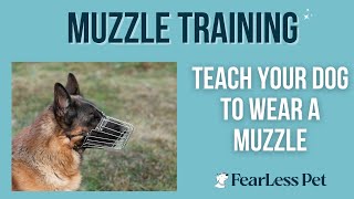 Muzzle Training [upl. by Therron]