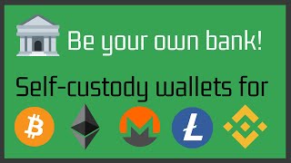 Selfcustody wallets for Bitcoin Ethereum and other digital assets noncustodial [upl. by Vadim]