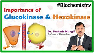 Hexokinase Vs Glucokinase  Medical Biochemistry By Dr Prakash Mungli [upl. by Hett]