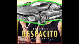 Despacito Car Cover [upl. by Yborian894]