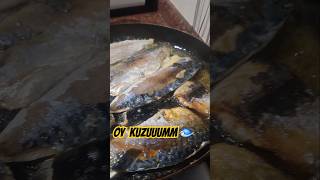 PALAMUT TARİFİHAMSİ STAYLAEMİNÖNÜ BALIK EKMEKmusicfoodfunny cookingcomedystreet foodkeşfet [upl. by Richie]