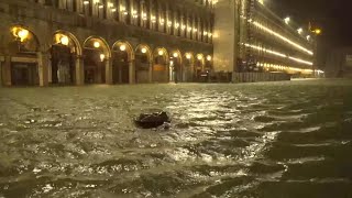 Maltempo acqua alta storica a Venezia Piazza San Marco sferzata da venti tempestosi [upl. by Ronym205]