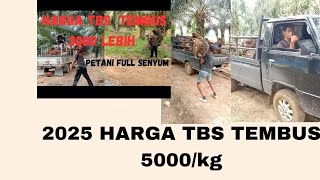 UPDATE HARGA TBS HARI INI KIAN MELAMBUNG PETANI FULL SENYUM sawitunggul panensawitsuper sawit [upl. by Ekihc]