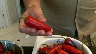 Freezing Hot Peppers amp Preserving Hot Peppers Blanching Hot Peppers amp Drying Hot Peppers MP4 [upl. by Fries290]