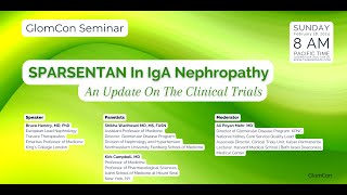 SPARSENTAN In IgA Nephropathy An Update On The Clinical Trials [upl. by Rafat]