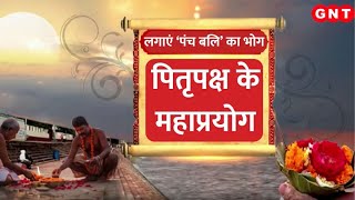 Pitru Paksha 2024 पंच बलि से प्रसन्न होंगे पितृजानिए कैसे दी जाती है और कैसे सफल होगा श्राद्ध [upl. by Ahsima]