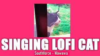 Southforce  Wawawa  Singing Cat  Viral Cat Video [upl. by Georgena]