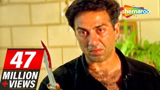 Sunny Deol scenes From Salaakhen 1998  Raveena Tandon  Anupam Kher  Hit Hindi Movie [upl. by Wertheimer]