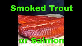 Smoked Steelhead Trout or Salmon in the Masterbuilt electric smoker [upl. by Magocsi]