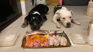 Oampn The Pit Bulls eat🍖RAW FOOD หมากินดิบ ASMRMUKBANG咀嚼音 อาหารหมาที่แท้จริง EP075 of 2024 [upl. by Aurore]