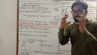 Part 1  Admixture in concrete  Plasticizer  Super plasticizer  Admixture lecture [upl. by Frieder]