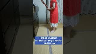 「星条旗よ永遠なれ」TrioのPiccoloをファゴットバスーンで吹いてみた JPSousa／The Stars and Stripes Forever [upl. by Worthy]