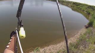 PSE KINGFISHER test run bowfishing [upl. by Gnay]