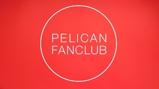 PELICAN FANCLUB  記憶についてMV pelicanfanclubSMEJ [upl. by Phi]