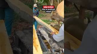 Indian furniture wood cutting woodworking furniture [upl. by Beverly]