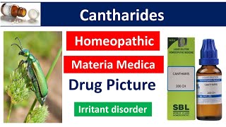 Cantharis Homeopathic medicine  Drug Picture  Materia Medica bhms materiamedica cantharis [upl. by Leor209]