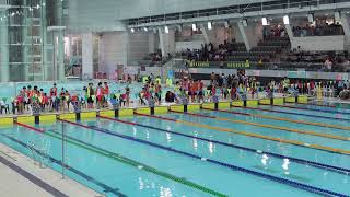 20242025 HK Div 3 Inter school Grade C Girl 4x50M FreeStyle [upl. by Acyre]