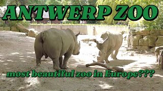 🇧🇪 ANTWERP ZOO  WALKING TOUR  4K UHD [upl. by Pickens]