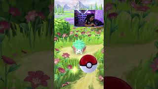 We Got Shiny Shaymin In Pokemon Go [upl. by Assirehs]