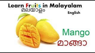 ഫലങ്ങൾ  Fruits Learn Fruits names in Malayalam through English [upl. by Chassin369]