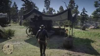 Red Dead Redemption 2 Pipe Location and Vaquero Rider Spurs [upl. by Islaen]