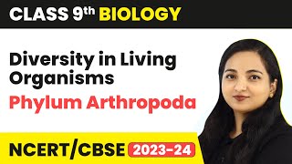 Phylum Arthropoda  Diversity in Living Organisms  Class 9 Biology  202324 [upl. by Nelak138]