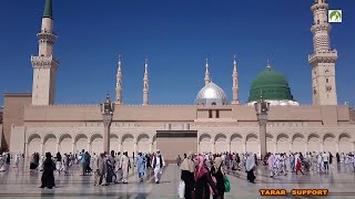 Saudi Arabia Travel Masjid Nabawi Walk in amp Out [upl. by Maloy]