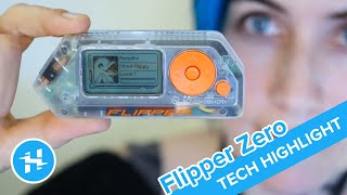 Flipper Zero Intro amp Getting Started  Tech Highlight [upl. by Verity515]