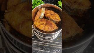 Todays lunch box  vanjaram fishfry fish kulambu dragon fruit ytshorts viralvideo trending [upl. by Doralia]