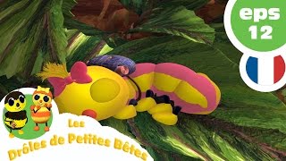 DRÔLES DE PETITES BÊTES  EP12  La colère de la Reine [upl. by Assej]