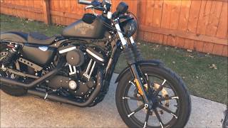 Harley Davidson Iron 883 walk around [upl. by Dysart]