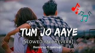 Remix Lofi Mashup slowed amp reverb  Tum Jo Aaye Song  Feellyrical Lofi music🎶 Hindi Song🔥 [upl. by Kayne492]