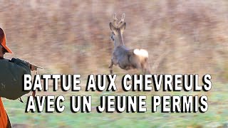 Battue aux chevreuils en Hauts de France 4K [upl. by Gibeon]