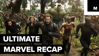 INFINITY WAR  Avengers 3  FAMILY Reactions  Fair Use [upl. by Aulea822]