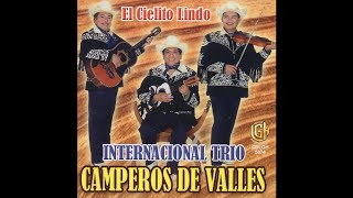 Internacional Trio Camperos de Valles  Un Huasteco 100 [upl. by Ydnac326]