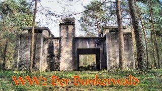 Teil 3 Im Bunkerwald der Wehrmacht  Geheimnisvolle Orte [upl. by Picardi]