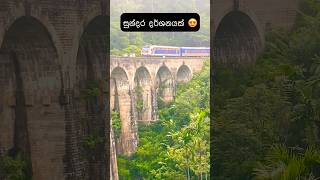 අන්තිම වෙනකන් බලන්න 🤍 9 Arch Bridge Ella Sri Lanka🇱🇰😍ella ninearchbridge train fyp short [upl. by Rosco]