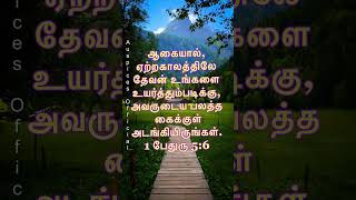 Todays Bible verse Todays Promise verse16th Nov 2024 இன்றைய வேத வசனம் sisEsther Nirmal Kumar [upl. by Janie283]