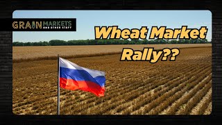 Have Wheat Futures Finally Found a Bottom [upl. by Arikat]