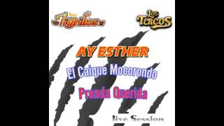 Los Tigrillos  Ay Esther El Casique Mocorondo Prenda Querida Live Session Album Completo [upl. by Nelsen501]