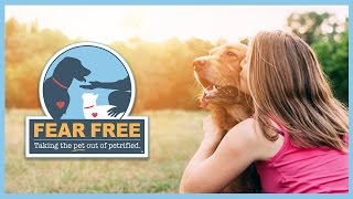 Fear Free How Pet Owners Can Enjoy Veterinary Visits with Their Pets [upl. by Eenitsed]