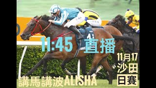 「講馬講波Alisha」賽馬日直播  2024年11月17日直播 [upl. by Ahsit541]